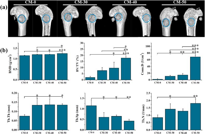https://cdn.ncbi.nlm.nih.gov/pmc/blobs/cd7f/7653289/6c384c09b2c5/gr10.jpg