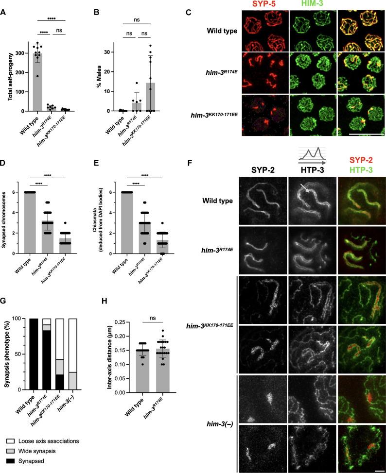 https://cdn.ncbi.nlm.nih.gov/pmc/blobs/cd80/11864179/126d21749ba6/sciadv.adt5675-f3.jpg