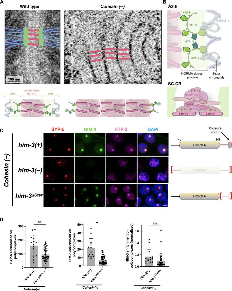 https://cdn.ncbi.nlm.nih.gov/pmc/blobs/cd80/11864179/d468bdbe6107/sciadv.adt5675-f1.jpg
