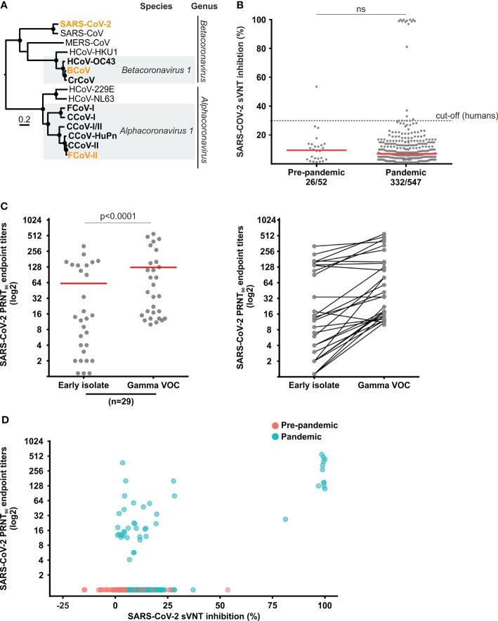https://cdn.ncbi.nlm.nih.gov/pmc/blobs/cd81/9016337/bbdfbf0d4ef0/fimmu-13-857322-g001.jpg