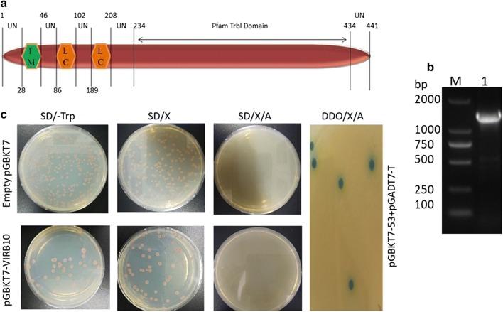https://cdn.ncbi.nlm.nih.gov/pmc/blobs/cd83/7045605/a239b808547f/13071_2020_3975_Fig2_HTML.jpg