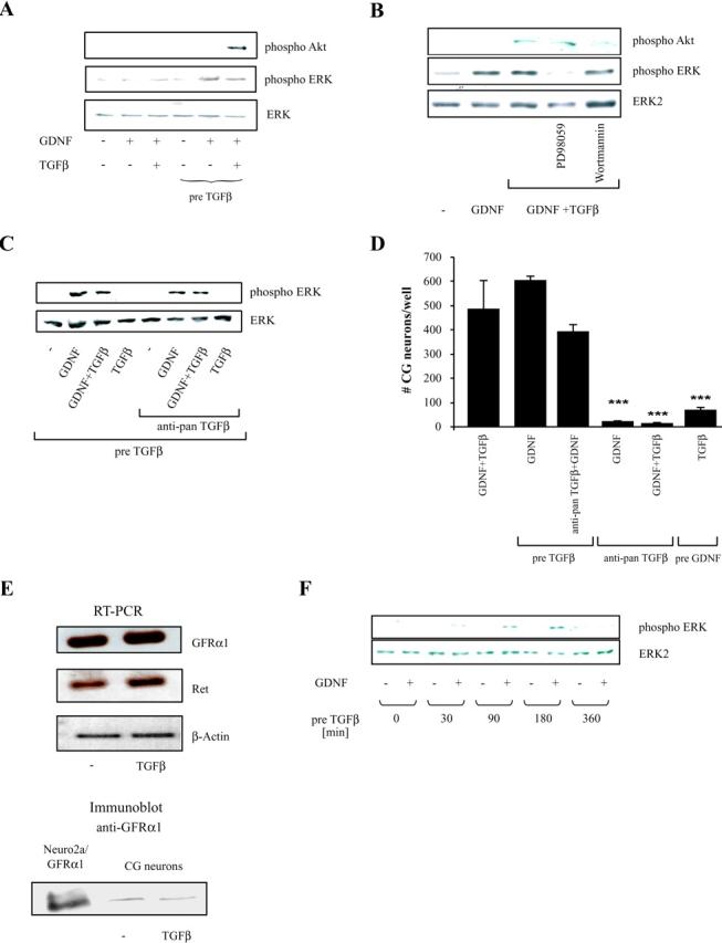 https://cdn.ncbi.nlm.nih.gov/pmc/blobs/cd84/2173495/606b36cd0459/200203115f3.jpg