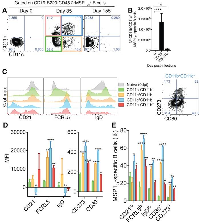 https://cdn.ncbi.nlm.nih.gov/pmc/blobs/cd84/6242553/2a92b56b5054/elife-39800-fig2.jpg