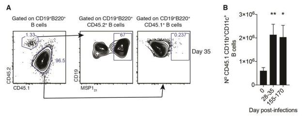 https://cdn.ncbi.nlm.nih.gov/pmc/blobs/cd84/6242553/4b179e54d568/elife-39800-resp-fig1.jpg