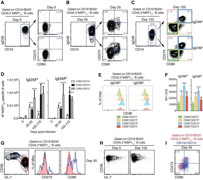 https://cdn.ncbi.nlm.nih.gov/pmc/blobs/cd84/6242553/c841c0304da4/elife-39800-fig5.jpg