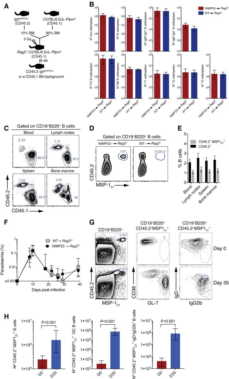 https://cdn.ncbi.nlm.nih.gov/pmc/blobs/cd84/6242553/e3f5fdec8d14/elife-39800-fig1-figsupp2.jpg