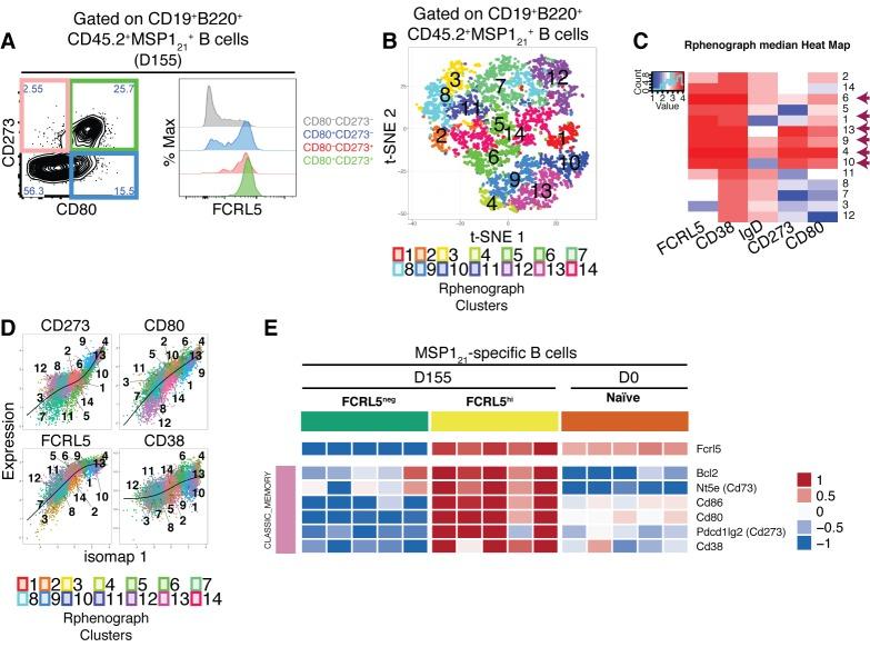 https://cdn.ncbi.nlm.nih.gov/pmc/blobs/cd84/6242553/e964b5cdaac4/elife-39800-fig6.jpg