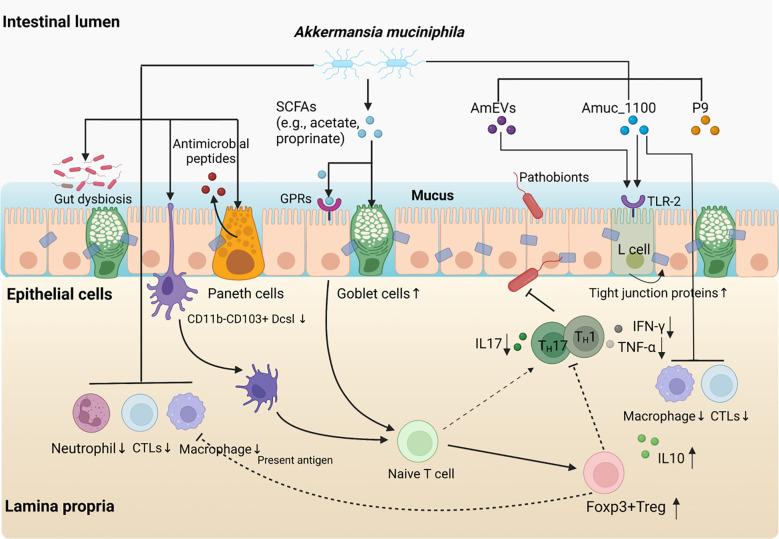 https://cdn.ncbi.nlm.nih.gov/pmc/blobs/cd86/9853388/603b368bf2ee/fimmu-13-1089600-g001.jpg
