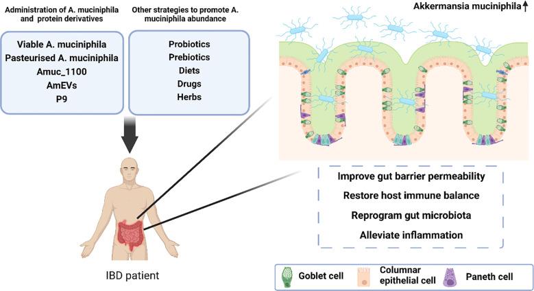 https://cdn.ncbi.nlm.nih.gov/pmc/blobs/cd86/9853388/c61a1fd04ecd/fimmu-13-1089600-g002.jpg