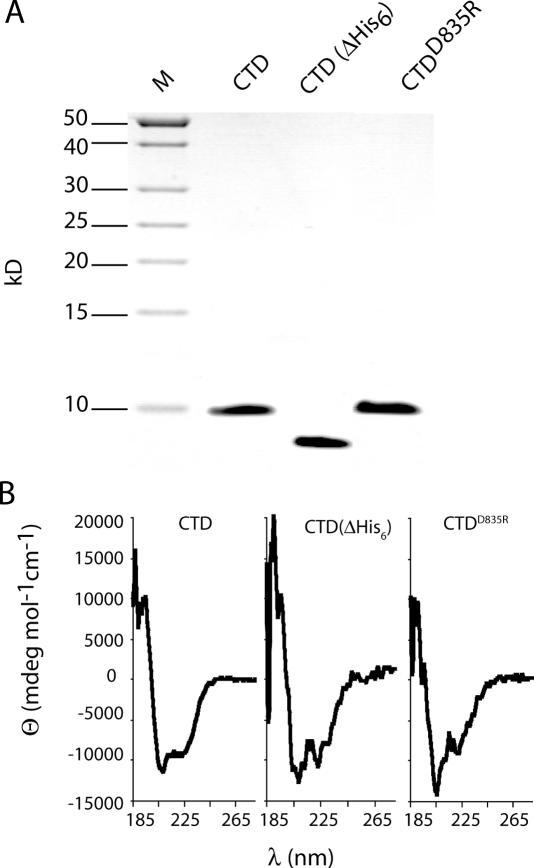 https://cdn.ncbi.nlm.nih.gov/pmc/blobs/cd87/1636413/ec48724f0bc8/gkl489f2.jpg