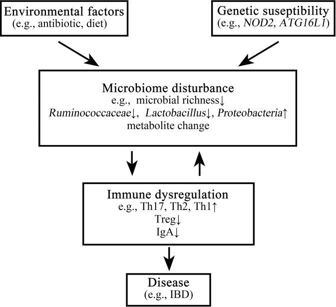 https://cdn.ncbi.nlm.nih.gov/pmc/blobs/cd88/7264227/f5905ac33247/41422_2020_332_Fig2_HTML.jpg