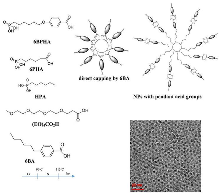 https://cdn.ncbi.nlm.nih.gov/pmc/blobs/cd89/7916626/56738c523b1c/nanomaterials-11-00448-g011.jpg