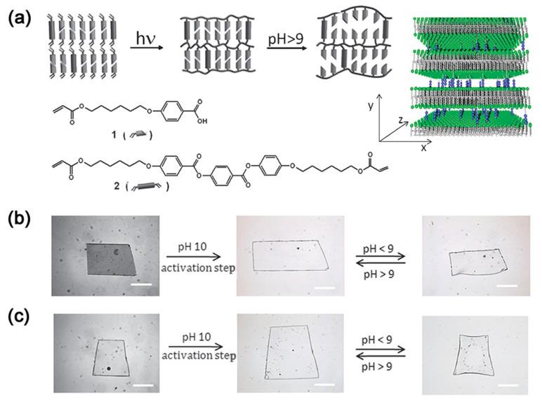 https://cdn.ncbi.nlm.nih.gov/pmc/blobs/cd89/7916626/d0d5bb57dab9/nanomaterials-11-00448-g005.jpg