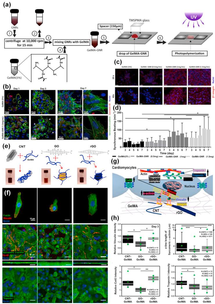 https://cdn.ncbi.nlm.nih.gov/pmc/blobs/cd8b/8424393/0879ffc5d46b/gr14.jpg