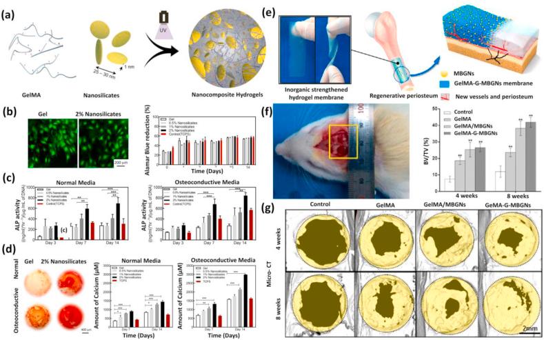 https://cdn.ncbi.nlm.nih.gov/pmc/blobs/cd8b/8424393/2ca4f7f8de4f/gr12.jpg