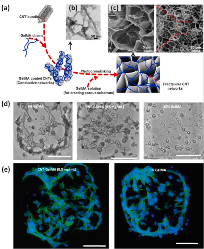 https://cdn.ncbi.nlm.nih.gov/pmc/blobs/cd8b/8424393/f88ce434bbb9/gr6.jpg