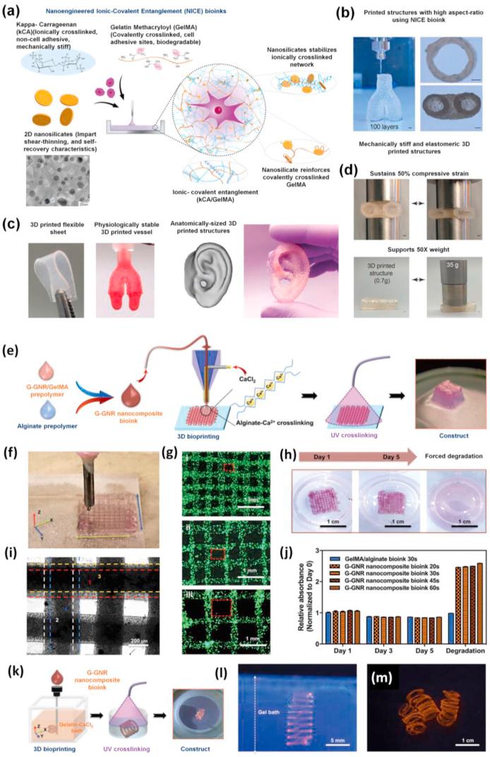 https://cdn.ncbi.nlm.nih.gov/pmc/blobs/cd8b/8424393/f9e9c7bbfe9d/gr16.jpg