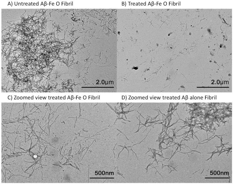 https://cdn.ncbi.nlm.nih.gov/pmc/blobs/cd8d/10254001/93b6c0d72524/ijms-24-09552-g003.jpg