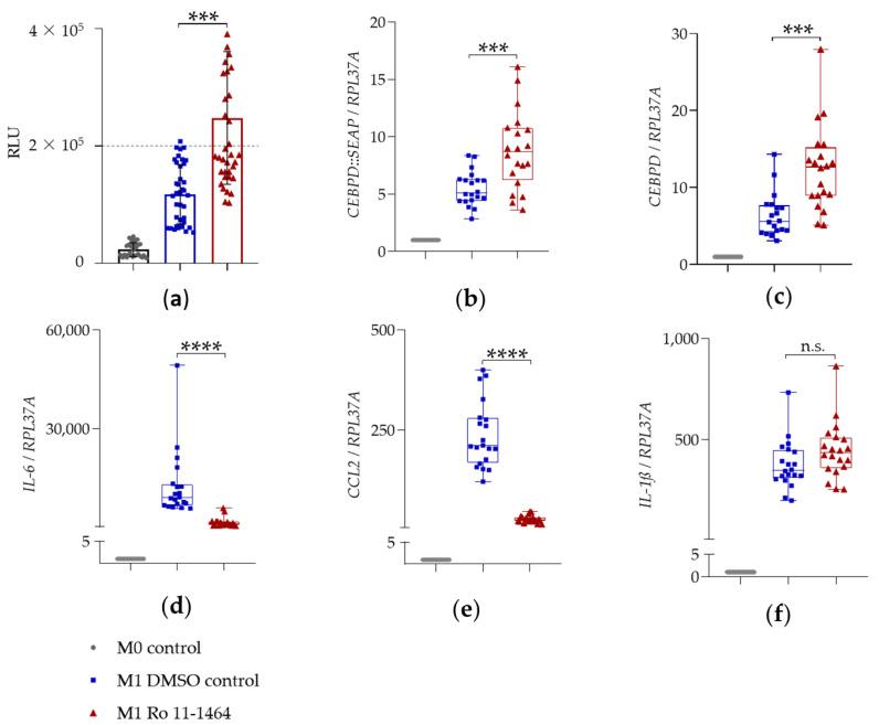 https://cdn.ncbi.nlm.nih.gov/pmc/blobs/cd8f/8002291/2f8b068d805a/ijms-22-03022-g005.jpg