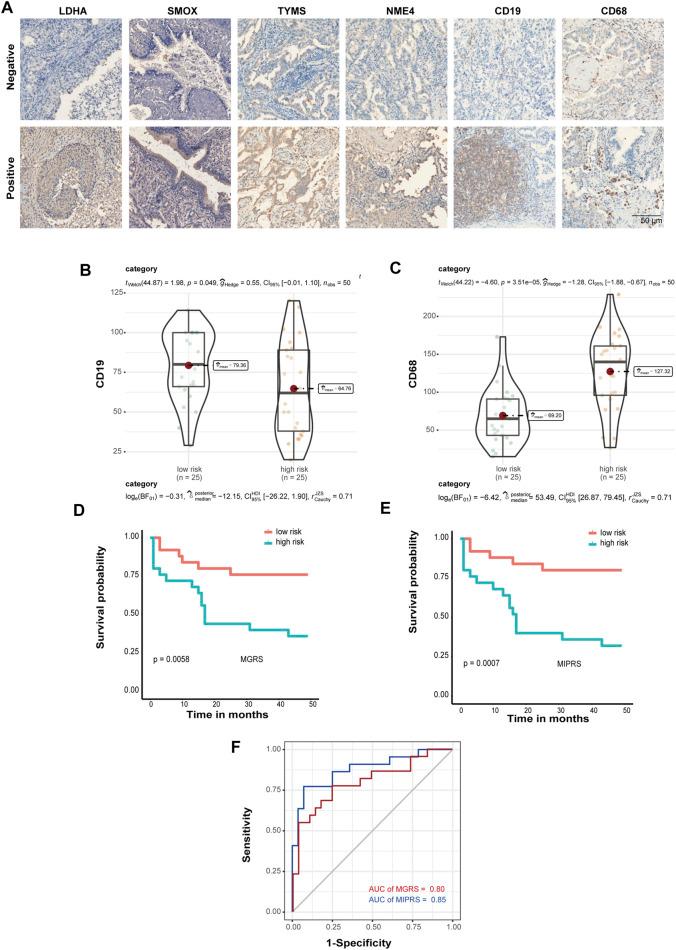 https://cdn.ncbi.nlm.nih.gov/pmc/blobs/cd8f/8361602/82346d963a57/fphar-12-728368-g006.jpg