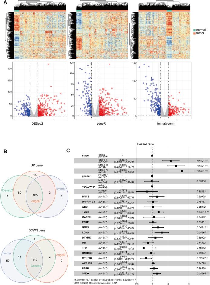 https://cdn.ncbi.nlm.nih.gov/pmc/blobs/cd8f/8361602/b4e56695719c/fphar-12-728368-g002.jpg