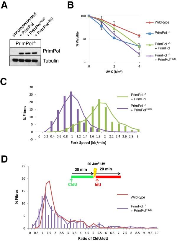 https://cdn.ncbi.nlm.nih.gov/pmc/blobs/cd90/4231748/cadb605590ca/gku879fig8.jpg