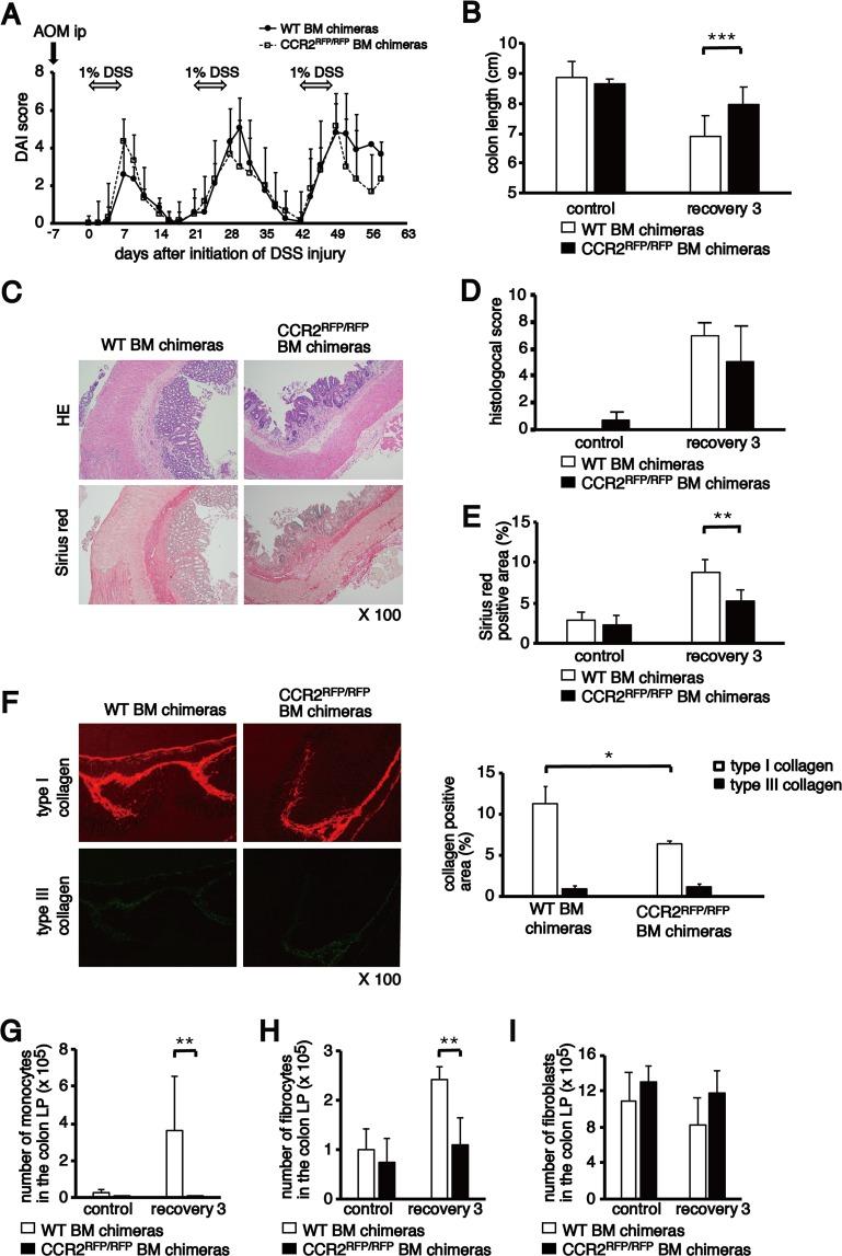 https://cdn.ncbi.nlm.nih.gov/pmc/blobs/cd91/6562037/a53dfb699be8/41598_2019_45012_Fig7_HTML.jpg