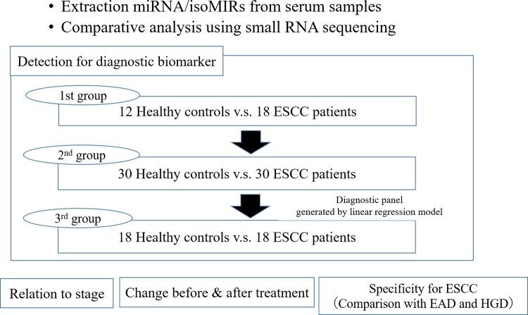 https://cdn.ncbi.nlm.nih.gov/pmc/blobs/cd92/7135252/295101ed3a33/pone.0231116.g001.jpg