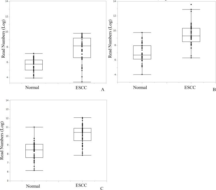 https://cdn.ncbi.nlm.nih.gov/pmc/blobs/cd92/7135252/8ff54f88c691/pone.0231116.g002.jpg