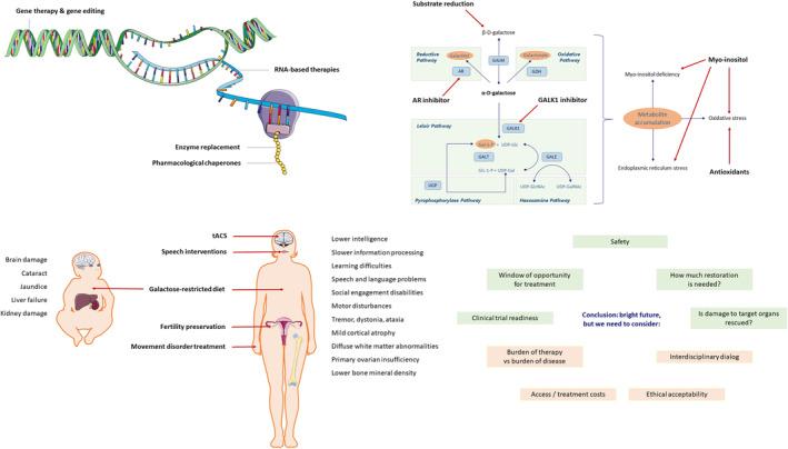 https://cdn.ncbi.nlm.nih.gov/pmc/blobs/cd93/11829187/fa62ec305c33/JIMD-48-0-g001.jpg
