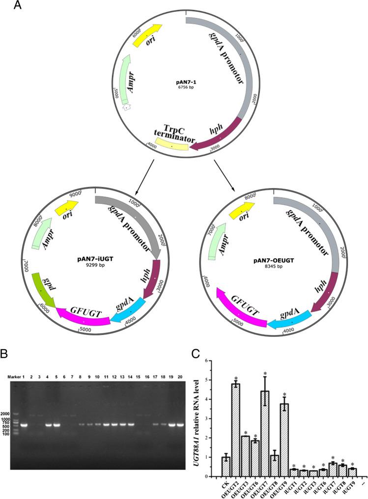 https://cdn.ncbi.nlm.nih.gov/pmc/blobs/cd95/10904514/334a4dc76061/253_2024_13062_Fig1_HTML.jpg