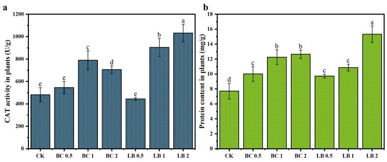 https://cdn.ncbi.nlm.nih.gov/pmc/blobs/cd95/11173730/947a111e5916/materials-17-02763-g006.jpg