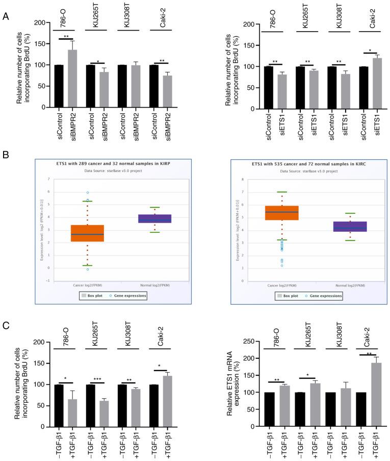 https://cdn.ncbi.nlm.nih.gov/pmc/blobs/cd96/8904080/1b75b0ae5032/IJMM-49-04-05108-g08.jpg