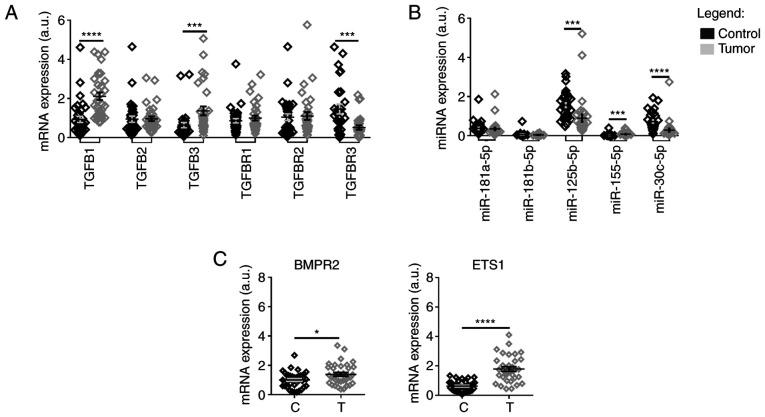 https://cdn.ncbi.nlm.nih.gov/pmc/blobs/cd96/8904080/725fba461f10/IJMM-49-04-05108-g06.jpg