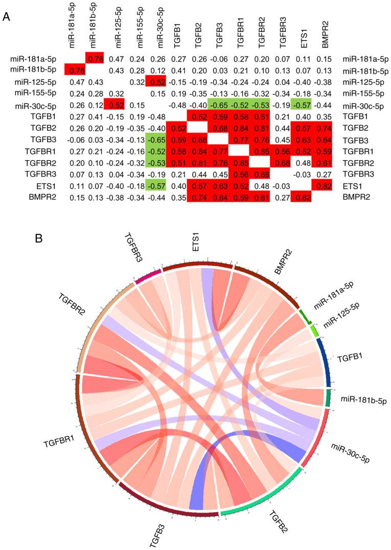https://cdn.ncbi.nlm.nih.gov/pmc/blobs/cd96/8904080/874be7d94e7b/IJMM-49-04-05108-g07.jpg