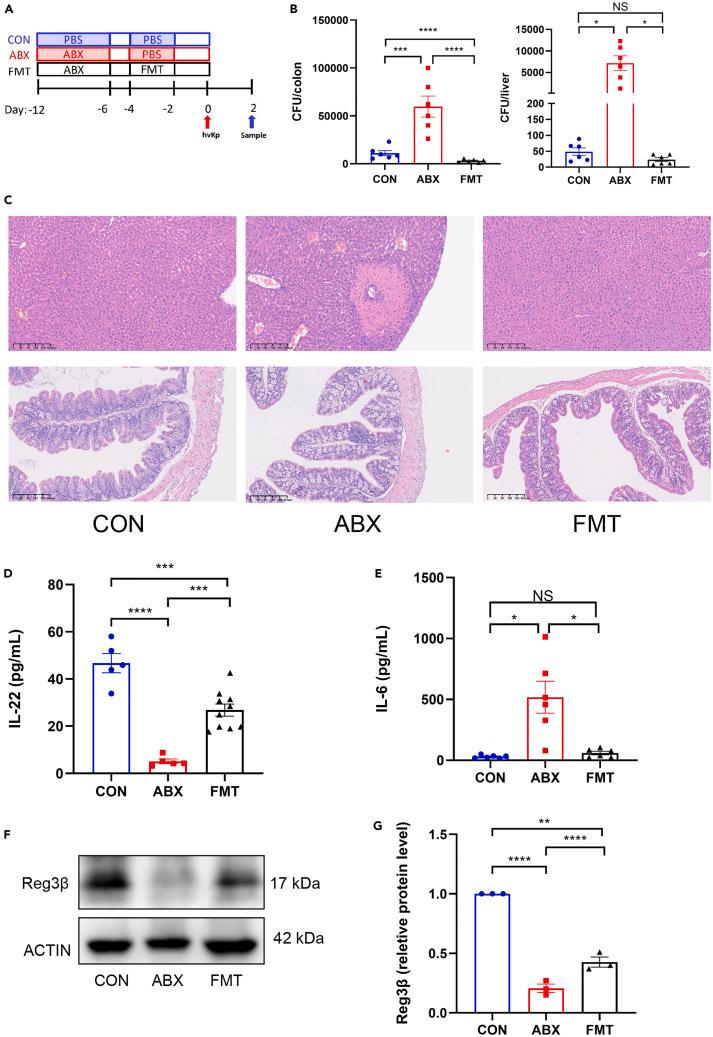 https://cdn.ncbi.nlm.nih.gov/pmc/blobs/cd97/11490733/e0d745e24ebf/gr4.jpg
