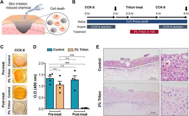 https://cdn.ncbi.nlm.nih.gov/pmc/blobs/cd98/12360594/28c8e2643a7f/pone.0330306.g004.jpg