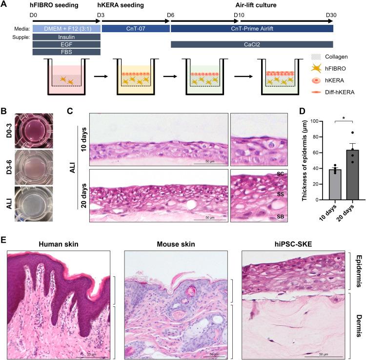 https://cdn.ncbi.nlm.nih.gov/pmc/blobs/cd98/12360594/bad2c7986553/pone.0330306.g002.jpg