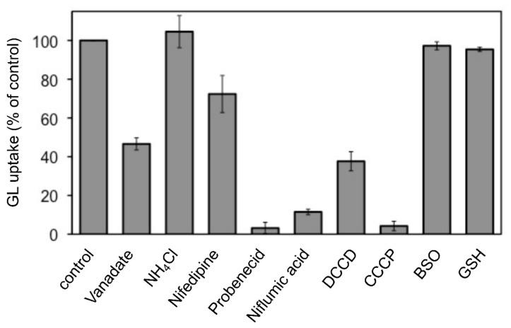 https://cdn.ncbi.nlm.nih.gov/pmc/blobs/cd99/9102456/cbcad26638ad/plants-11-01250-g003.jpg
