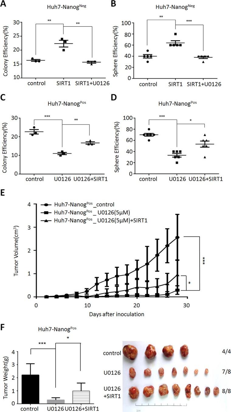https://cdn.ncbi.nlm.nih.gov/pmc/blobs/cd9a/4991478/6ea52c1f8dd5/oncotarget-07-20597-g005.jpg