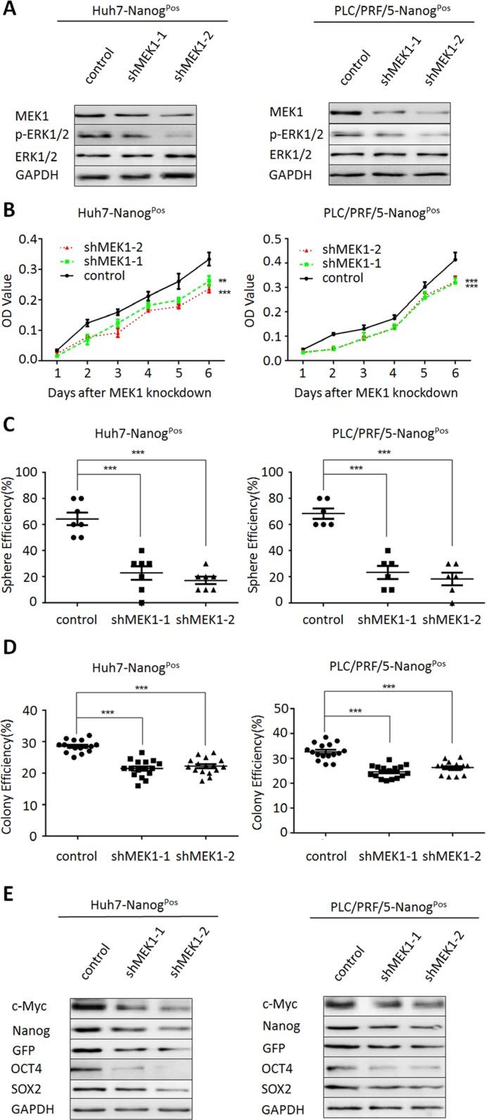 https://cdn.ncbi.nlm.nih.gov/pmc/blobs/cd9a/4991478/ab6c0bbf87bc/oncotarget-07-20597-g003.jpg
