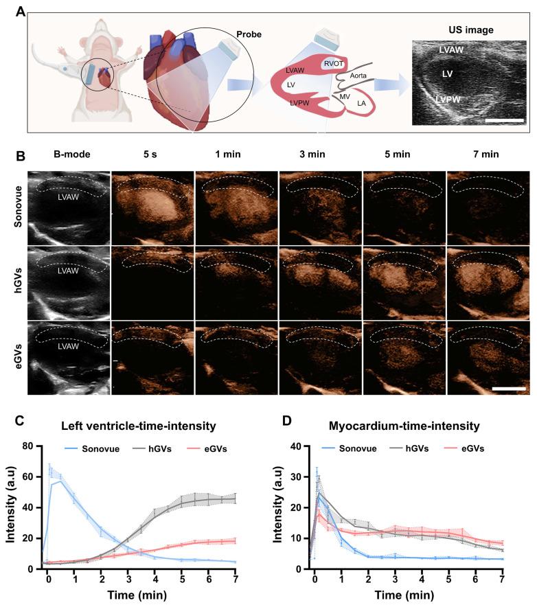 https://cdn.ncbi.nlm.nih.gov/pmc/blobs/cd9d/12374649/461ae1c45c77/thnov15p8553g003.jpg