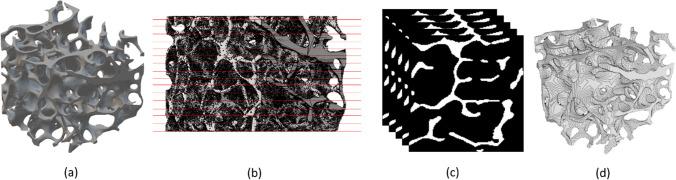 https://cdn.ncbi.nlm.nih.gov/pmc/blobs/cd9e/11485120/47a46fd784b8/11517_2024_3134_Fig1_HTML.jpg