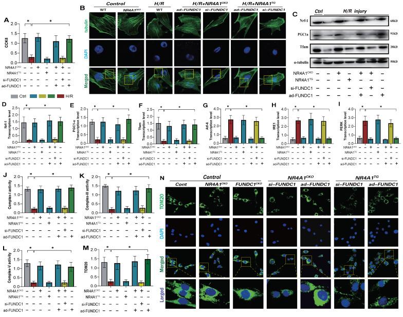 https://cdn.ncbi.nlm.nih.gov/pmc/blobs/cd9f/11380451/2843d9d730a3/ijbsv20p4458g007.jpg