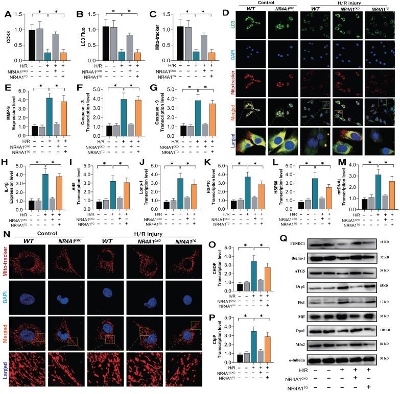https://cdn.ncbi.nlm.nih.gov/pmc/blobs/cd9f/11380451/2fba76947524/ijbsv20p4458g004.jpg