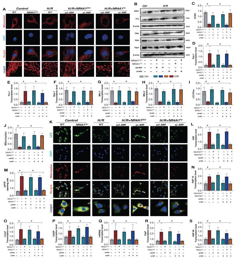 https://cdn.ncbi.nlm.nih.gov/pmc/blobs/cd9f/11380451/4ab289869e14/ijbsv20p4458g008.jpg