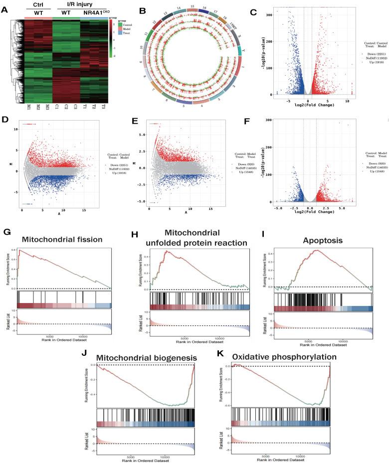 https://cdn.ncbi.nlm.nih.gov/pmc/blobs/cd9f/11380451/8162438cf204/ijbsv20p4458g002.jpg