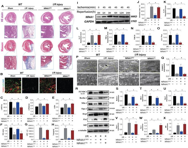 https://cdn.ncbi.nlm.nih.gov/pmc/blobs/cd9f/11380451/97a039509c8d/ijbsv20p4458g001.jpg