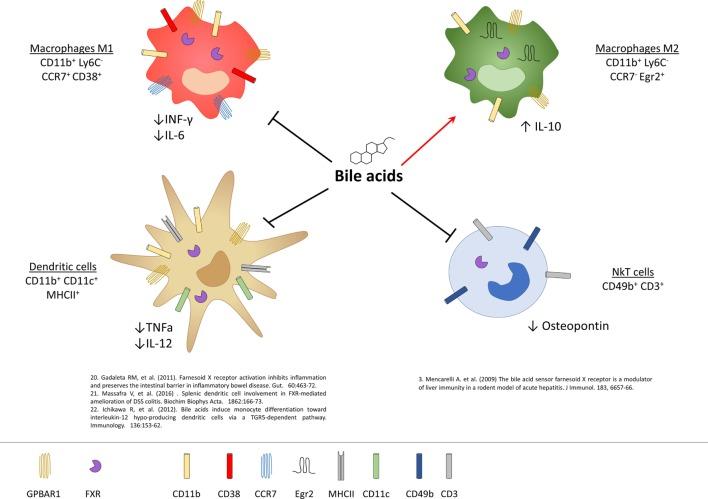 https://cdn.ncbi.nlm.nih.gov/pmc/blobs/cda0/6099188/2cd29c94b2c5/fimmu-09-01853-g003.jpg