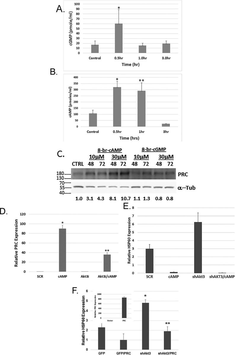 https://cdn.ncbi.nlm.nih.gov/pmc/blobs/cda0/7939459/0f2e017227d3/gr7.jpg